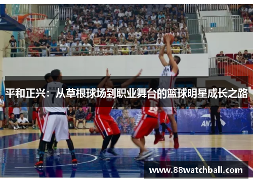 平和正兴:从草根球场到职业舞台的篮球明星成长之路