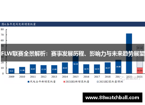 FLW联赛全景解析:赛事发展历程、影响力与未来趋势展望