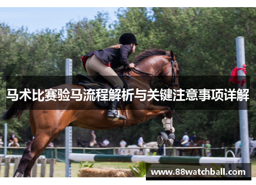 马术比赛验马流程解析与关键注意事项详解