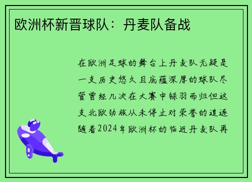 欧洲杯新晋球队：丹麦队备战